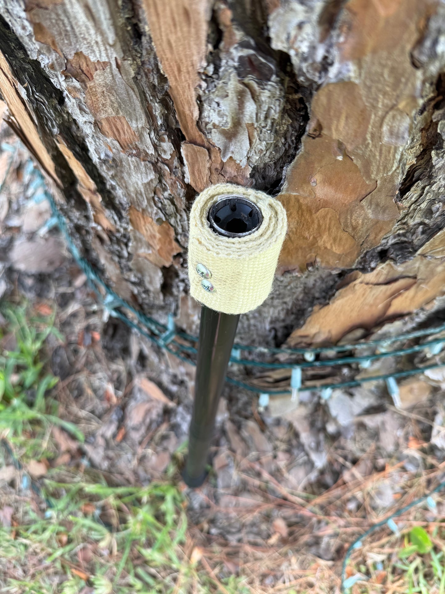 Lyco torch