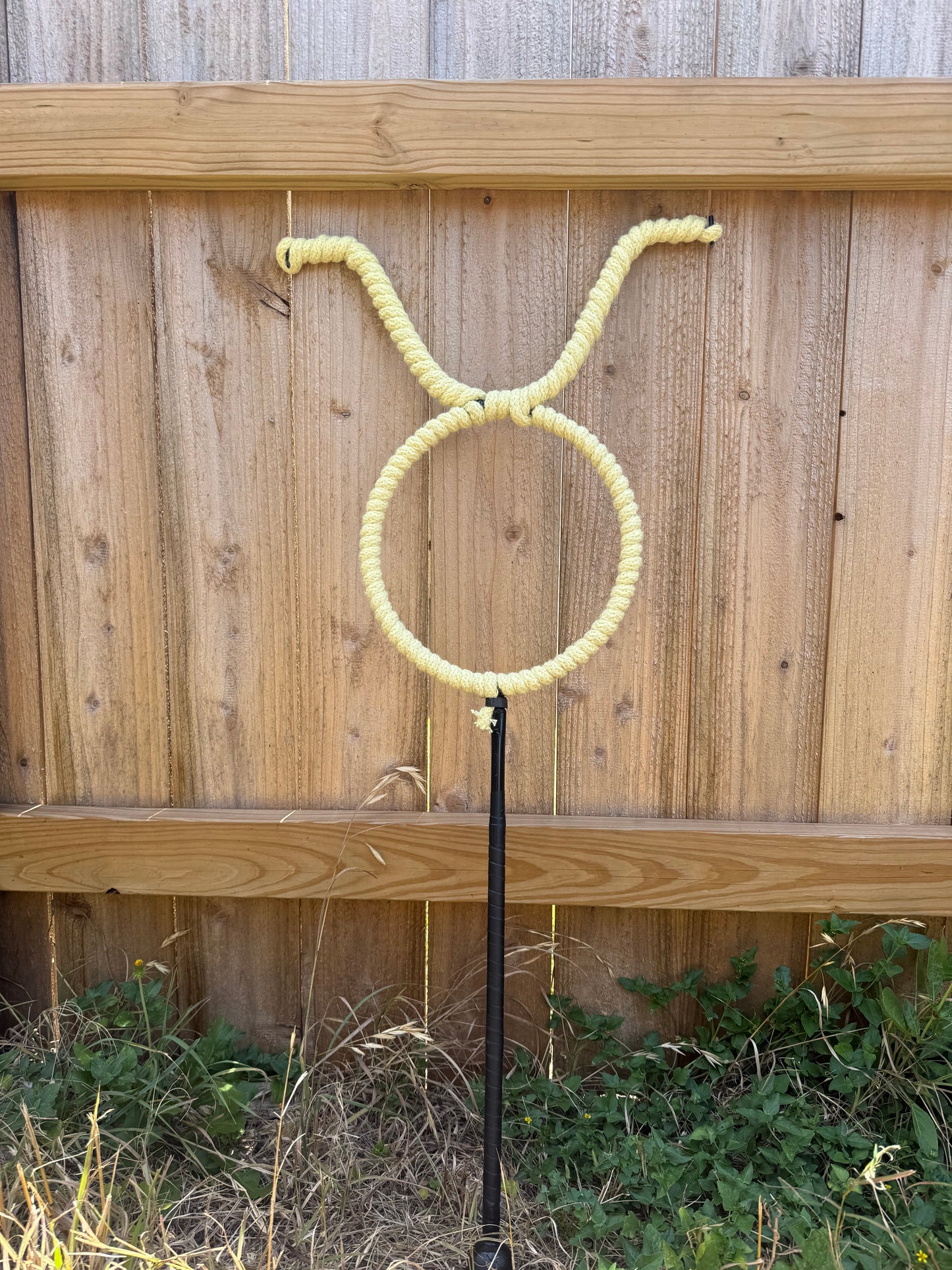 Zodiac Symbols (wands, lyco, wiz staff, staff)